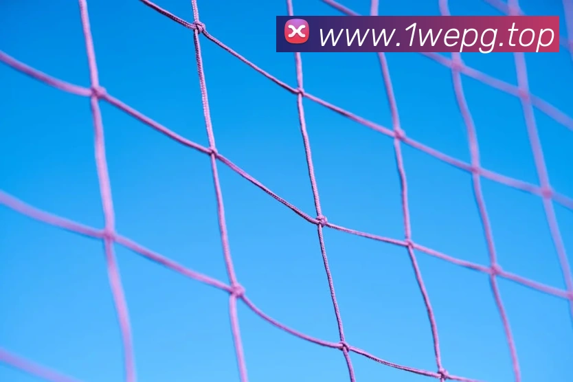 pg电子服务体系